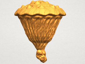 lotus seedpod 3D 프린트 모델