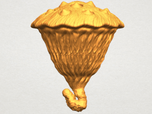 lotus seedpod 3D 프린트 모델