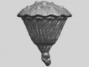 lotus seedpod 3D 프린트 모델