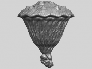 lotus seedpod 3D 프린트 모델