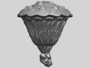 lotus seedpod 3D Print Model