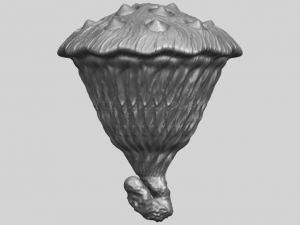 lotus seedpod 3D 프린트 모델