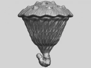 lotus seedpod 3D Print Model