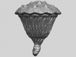 lotus seedpod 3D 프린트 모델