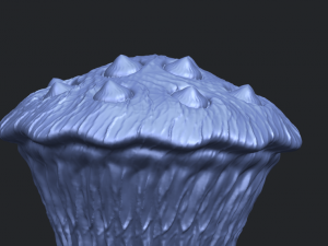lotus seedpod 3D 프린트 모델