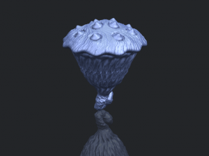 lotus seedpod 3D 프린트 모델