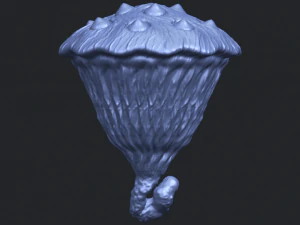 lotus seedpod 3D Print Model