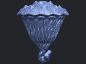 lotus seedpod 3D 프린트 모델