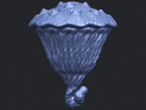 lotus seedpod 3D Print Model