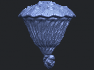 lotus seedpod 3D 프린트 모델