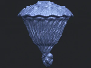 lotus seedpod 3D Print Model