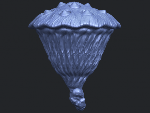 lotus seedpod 3D 프린트 모델