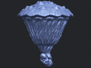 lotus seedpod 3D 프린트 모델