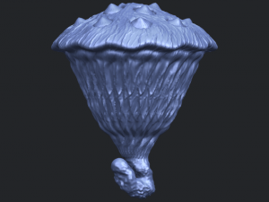 lotus seedpod 3D 프린트 모델