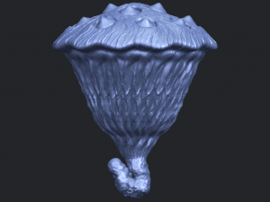lotus seedpod 3D 프린트 모델