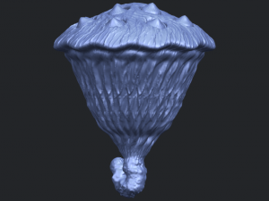 lotus seedpod 3D 프린트 모델