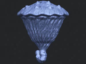 lotus seedpod 3D Print Model