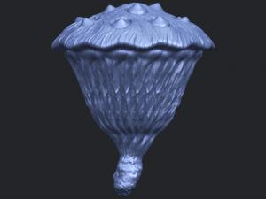 lotus seedpod 3D 프린트 모델