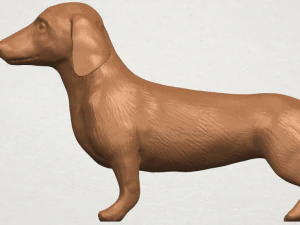 dog - dachshund 3D Print Model