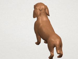 dog - dachshund 3Dプリントモデル