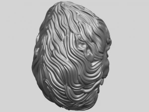 monkey head 3D Print Model