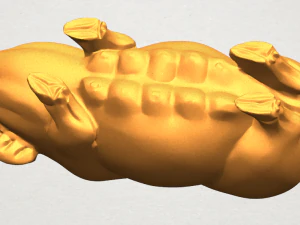 pig 01 female 3D Print Model