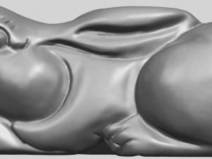 rabbit 3D-printmodel