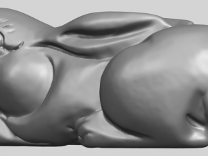 rabbit 3D-printmodel