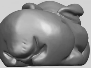 rabbit 3D Print Model