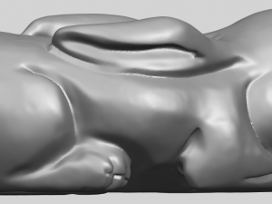rabbit 3D-printmodel
