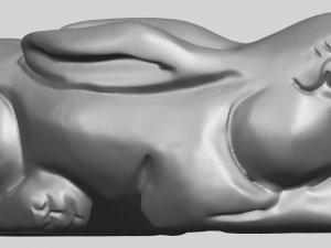 rabbit 3D-printmodel