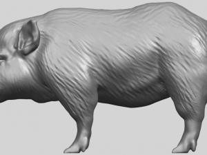 pig 02 Model do druku 3D