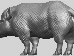 pig 02 Model do druku 3D