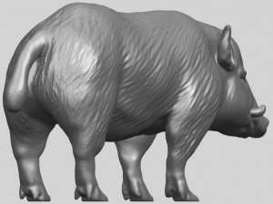 pig 02 Model do druku 3D