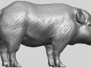 pig 02 Model do druku 3D