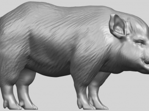 pig 02 Model do druku 3D