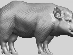 pig 02 3D Print Model