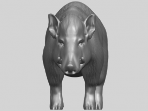 pig 02 Model do druku 3D