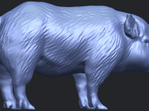 pig 02 Model do druku 3D