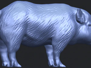 pig 02 3D Print Model