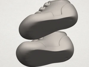 shoe 01 3D Print Model