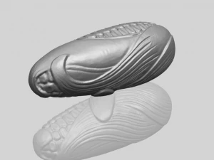 corn 3D Print Model