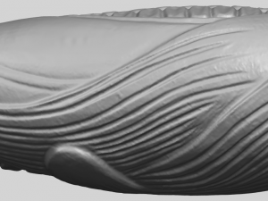 corn 3D-Druckmodell