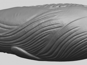 corn 3D-Druckmodell