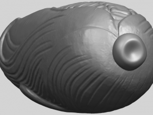corn 3D-Druckmodell