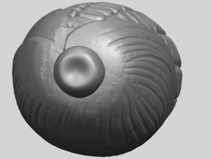 corn 3D-Druckmodell
