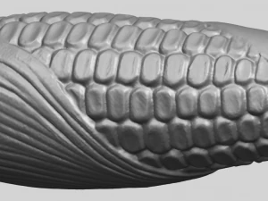 corn 3D Print Model