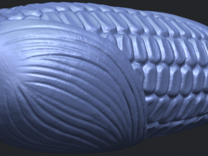corn 3D-Druckmodell