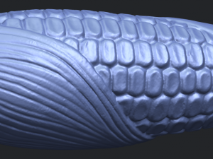 corn 3D-Druckmodell