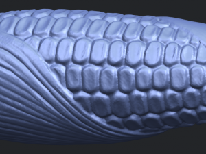 corn 3D-Druckmodell
